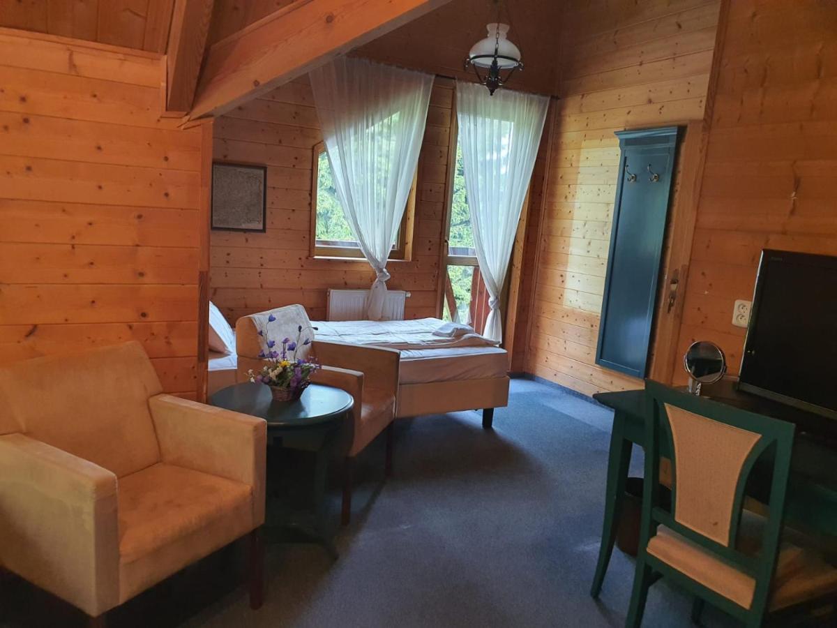 Hotel Pam Jáchymov Oda fotoğraf